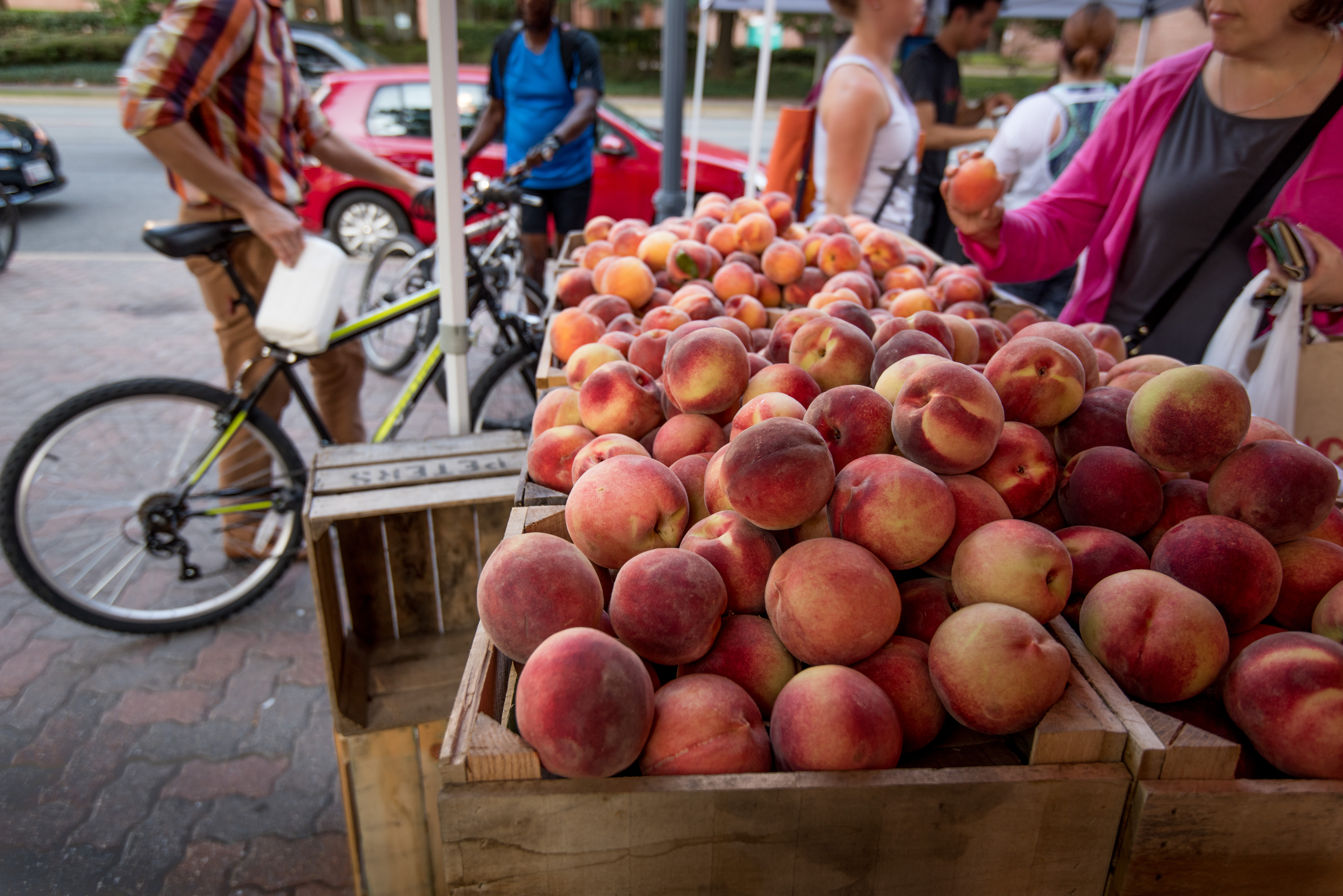 Farmers market peaches and biker walking by