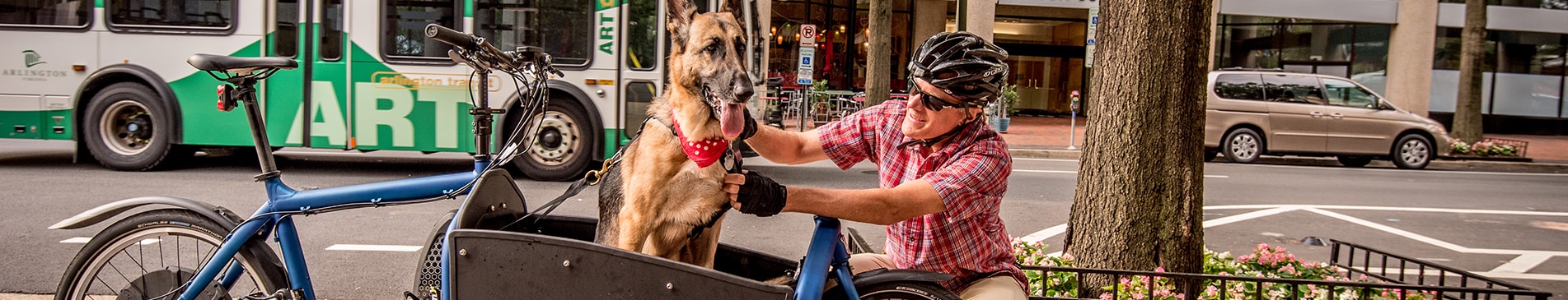 our shared street header with bus, pup and cargo bike